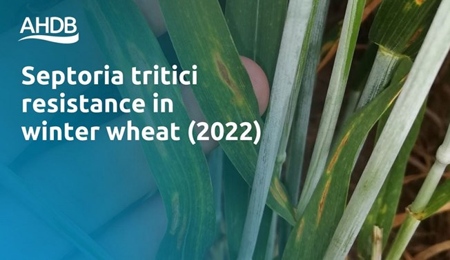 Trial inspection video